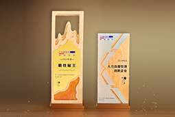 美狮贵宾会国际一举斩获“2024年度中国区最佳雇主”等多项大奖